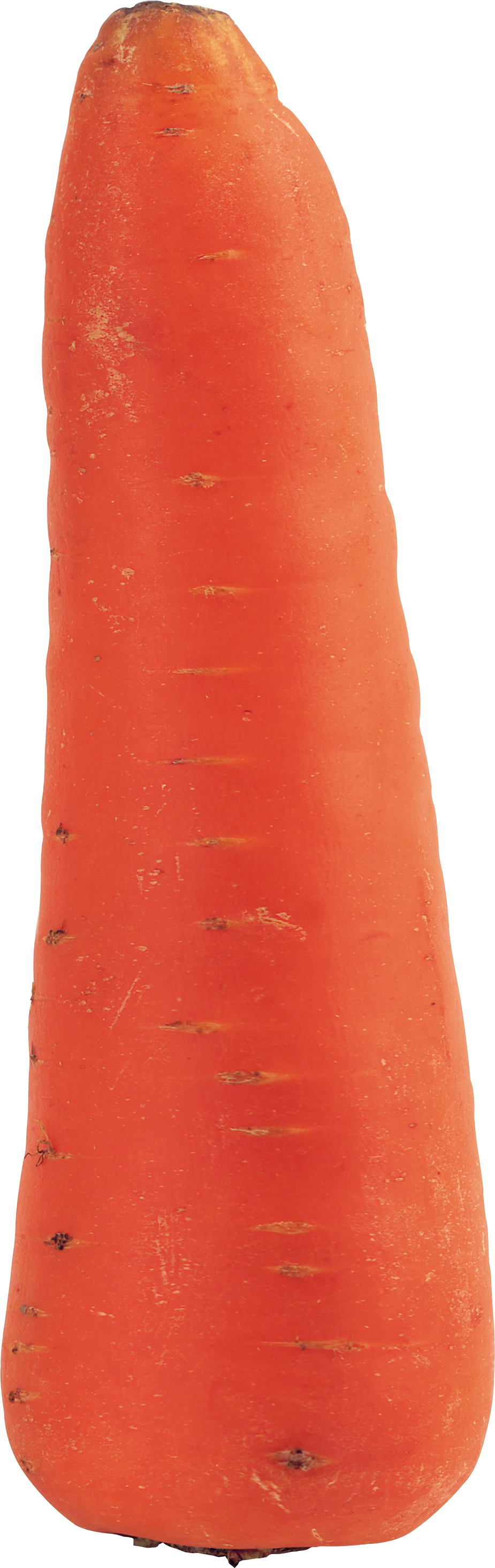 Fresh Single Carrot Isolated PNG with transparent background