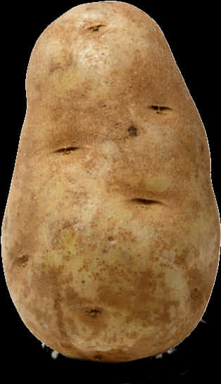 Fresh Single Potato Standing PNG with transparent background