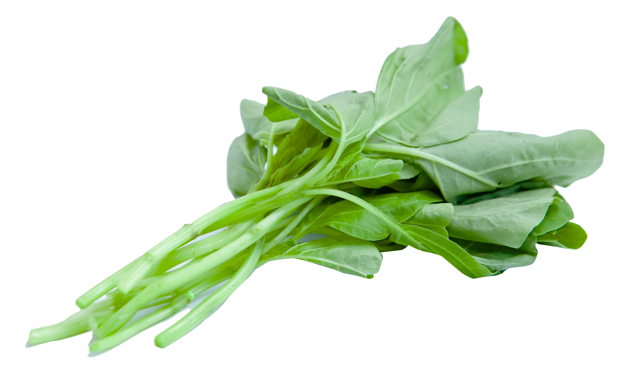 Fresh Spinach Leaves Isolated PNG with transparent background