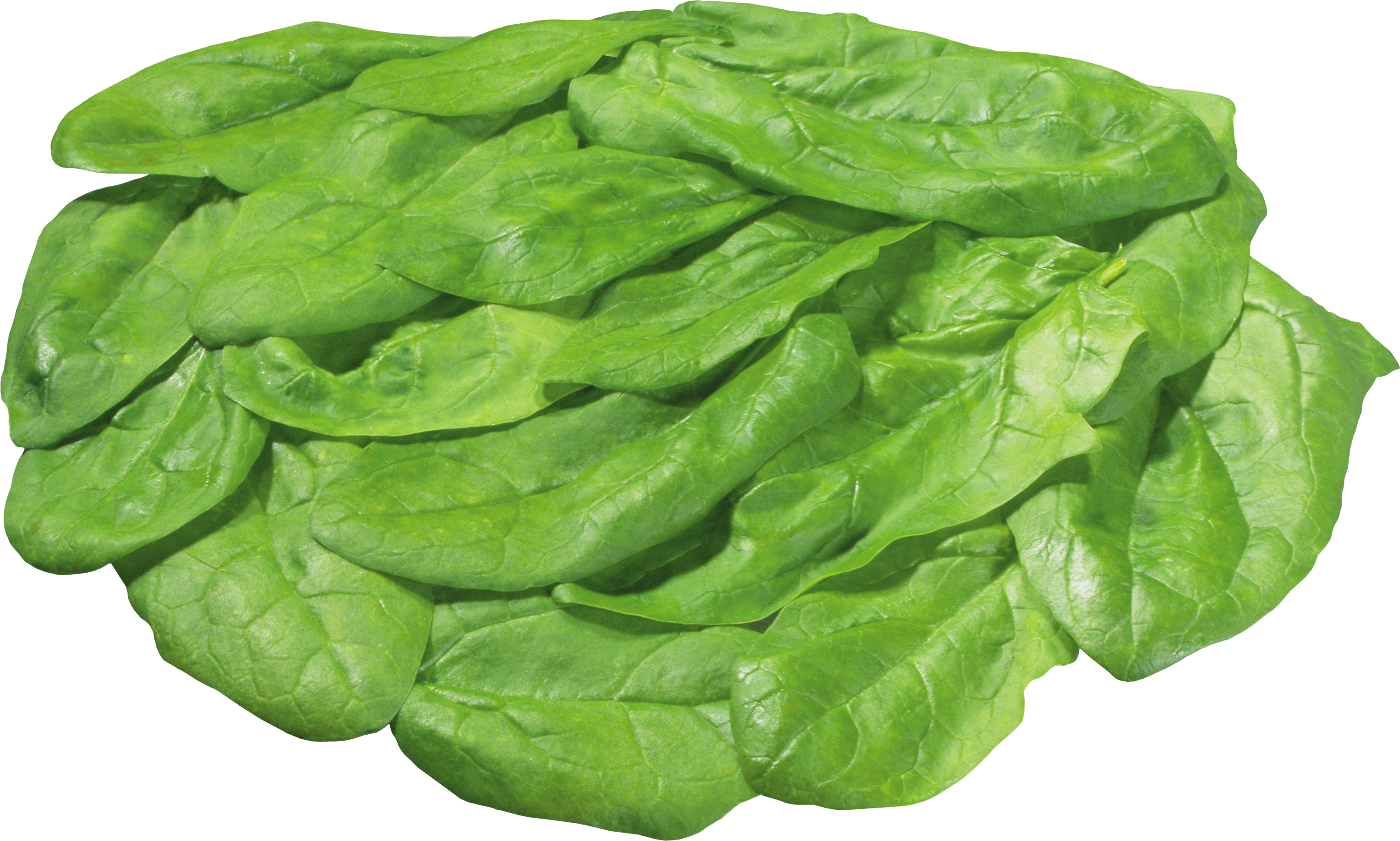 Lettuce With No Background, HD Png Download PNG with transparent background