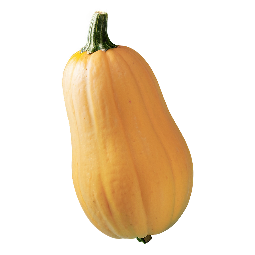 Fresh Squash Png 64