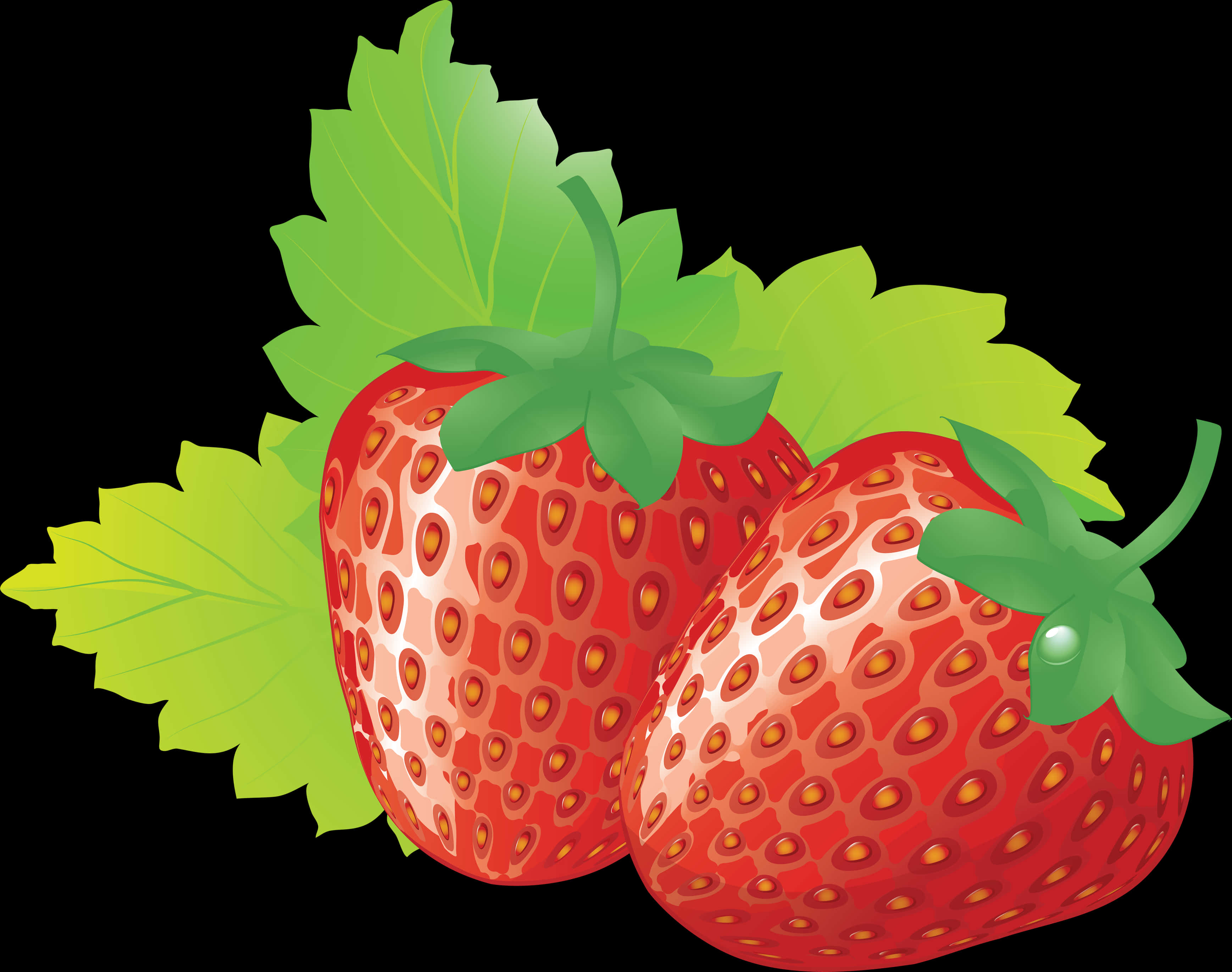 Fresh Strawberries Illustration