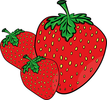 Fresh Strawberries Illustration PNG with transparent background