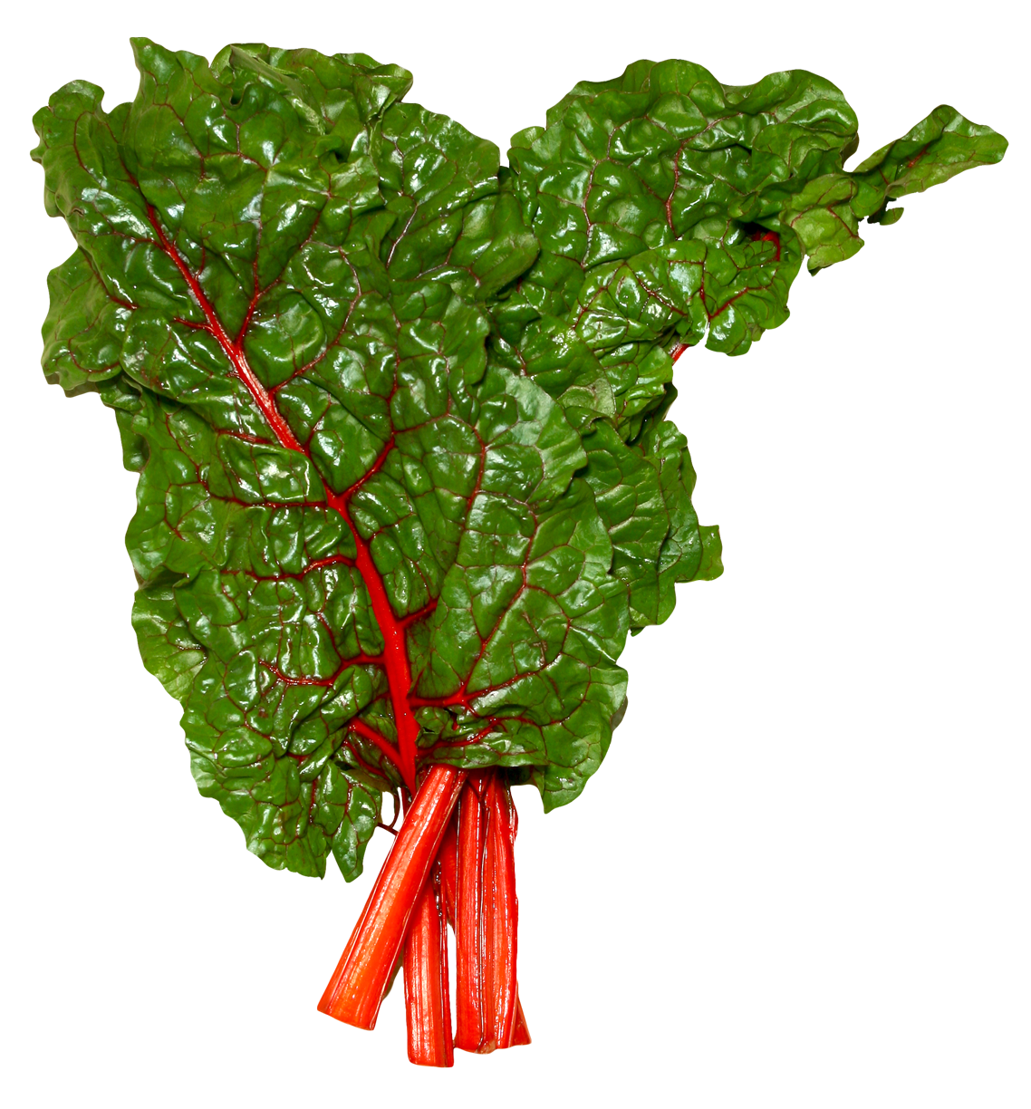 Fresh Swiss Chard Bunch