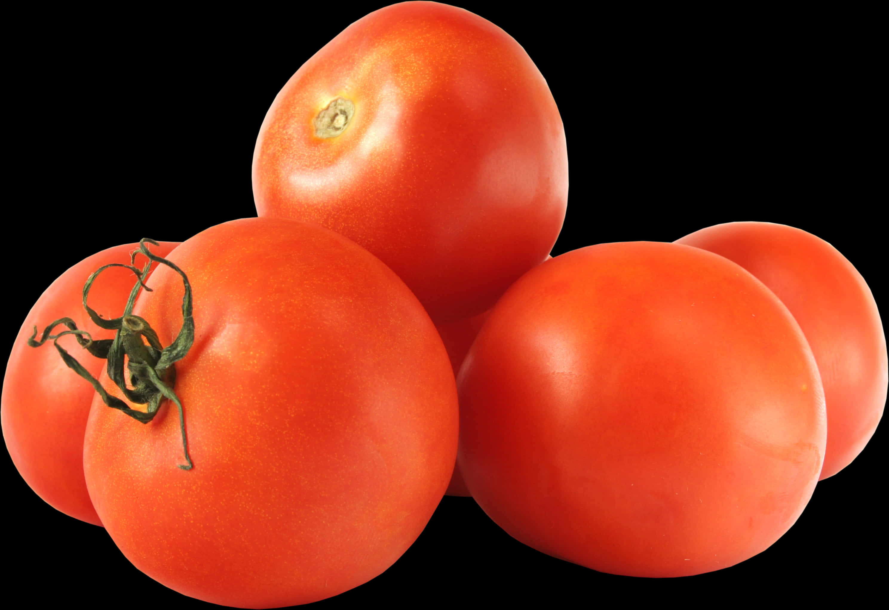 Fresh Tomatoes Black Background