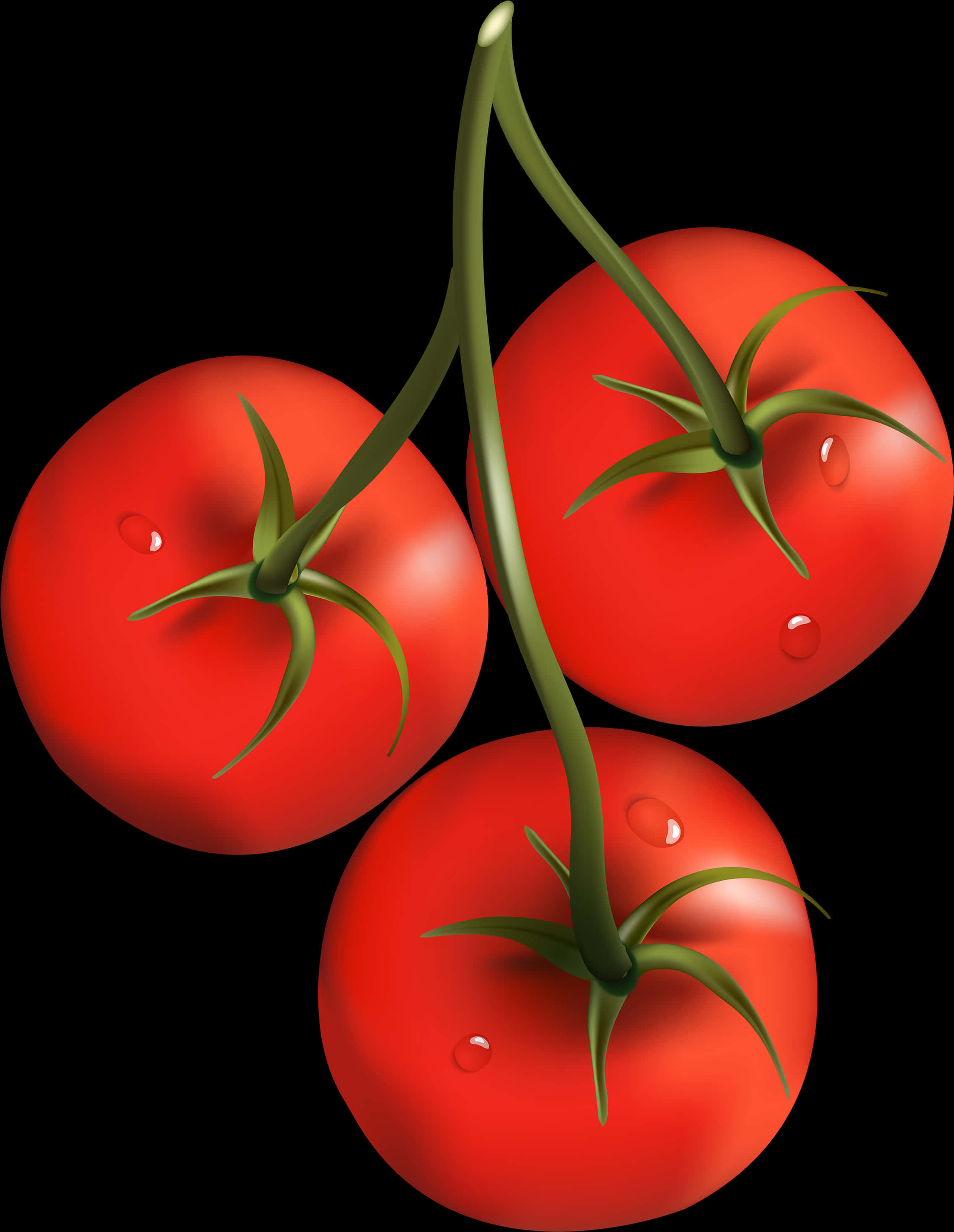 Fresh Tomatoeson Vine