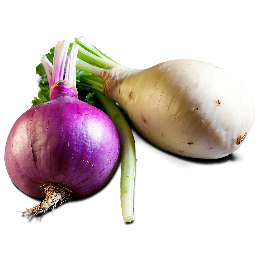 Fresh Turnip Png 06252024