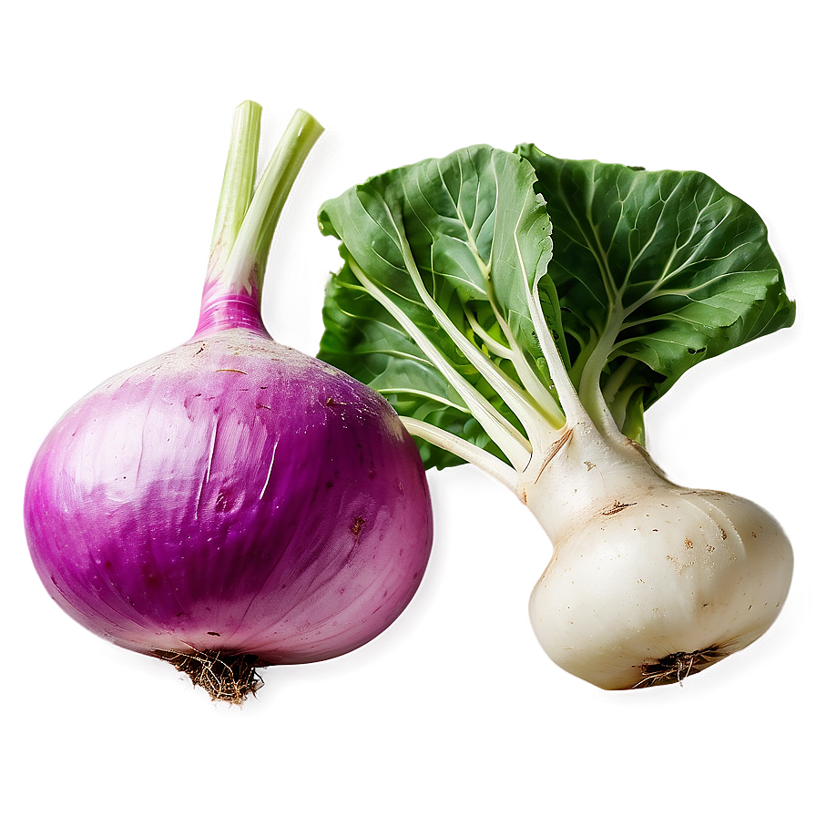 Fresh Turnip Png Jtg98