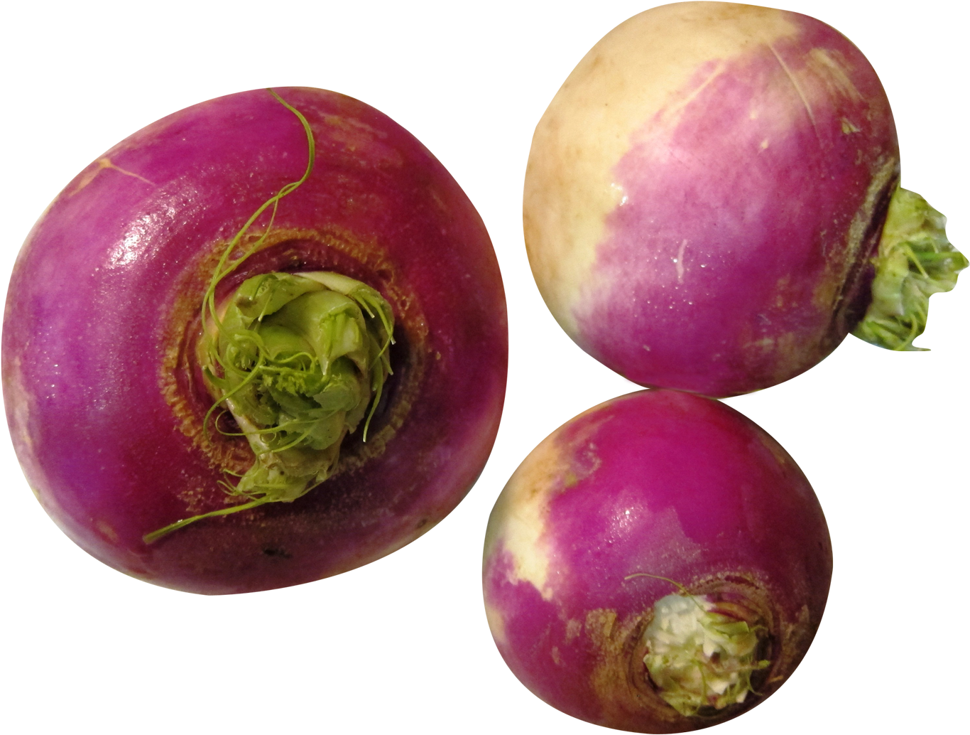 Fresh Turnips Isolatedon Background