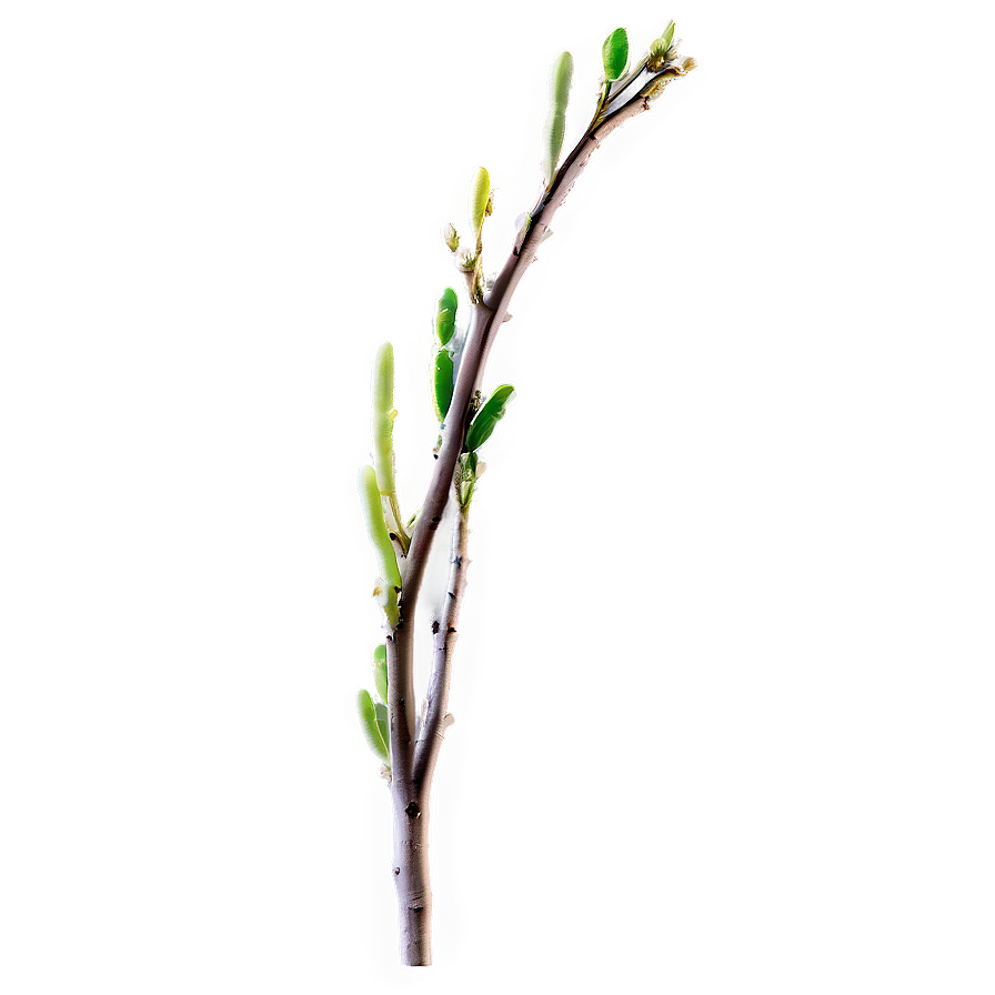 Fresh Twig Png 82