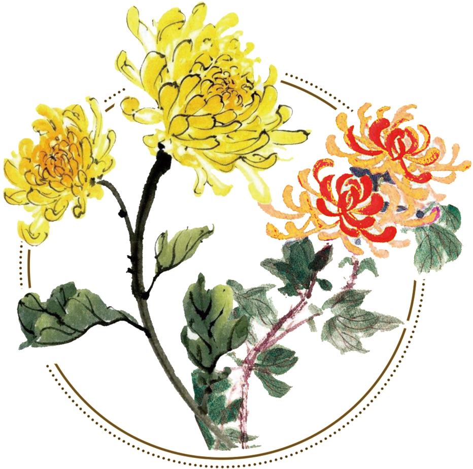 Fresh Two Tone Hand Painted Chrysanthemum Decorative - Chinese Paintings Of Chrysanthemum, HD Png Download PNG with transparent background
