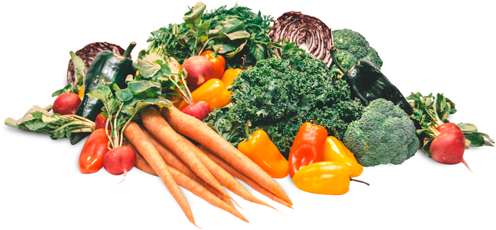 Plant Based Diet Transparent, HD Png Download PNG with transparent background
