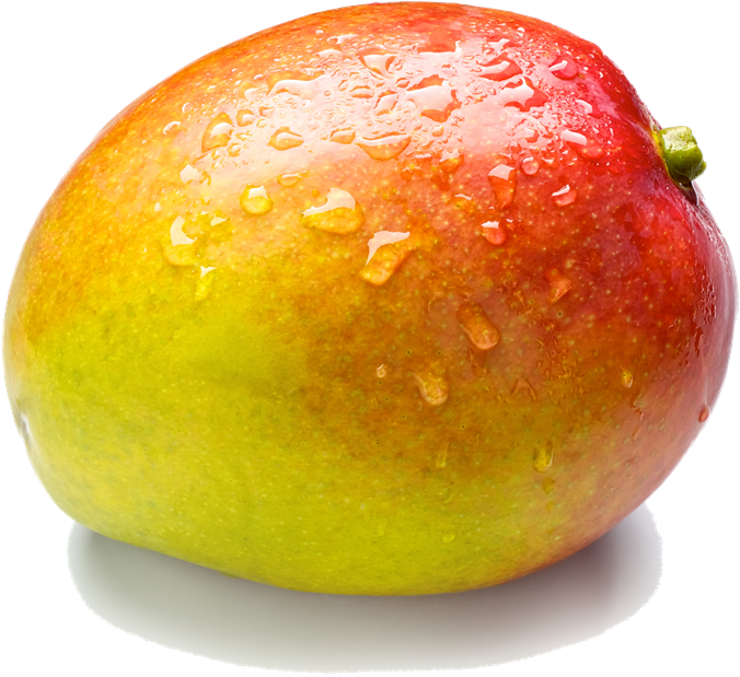 Fresh Water Dropletson Mango PNG with transparent background