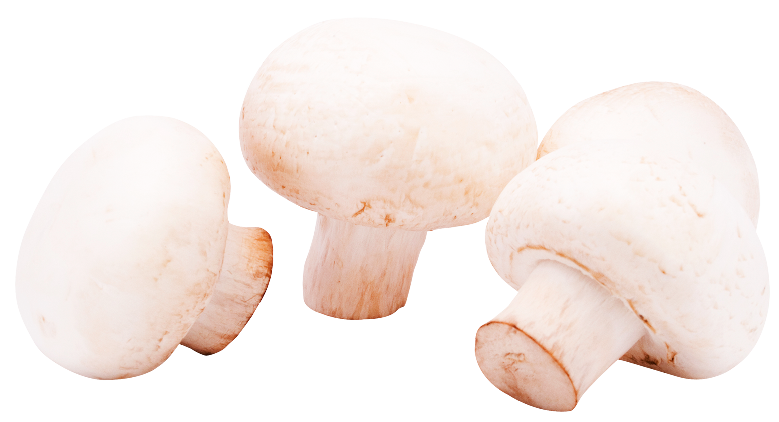 Fresh White Button Mushrooms PNG with transparent background