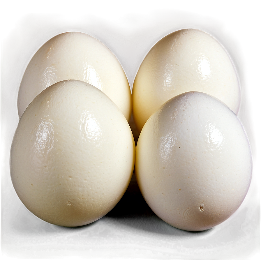 Fresh White Egg Png Njf