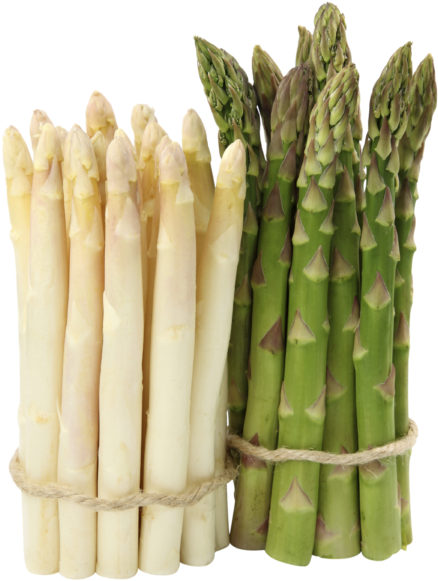 Fresh Whiteand Green Asparagus Bundle