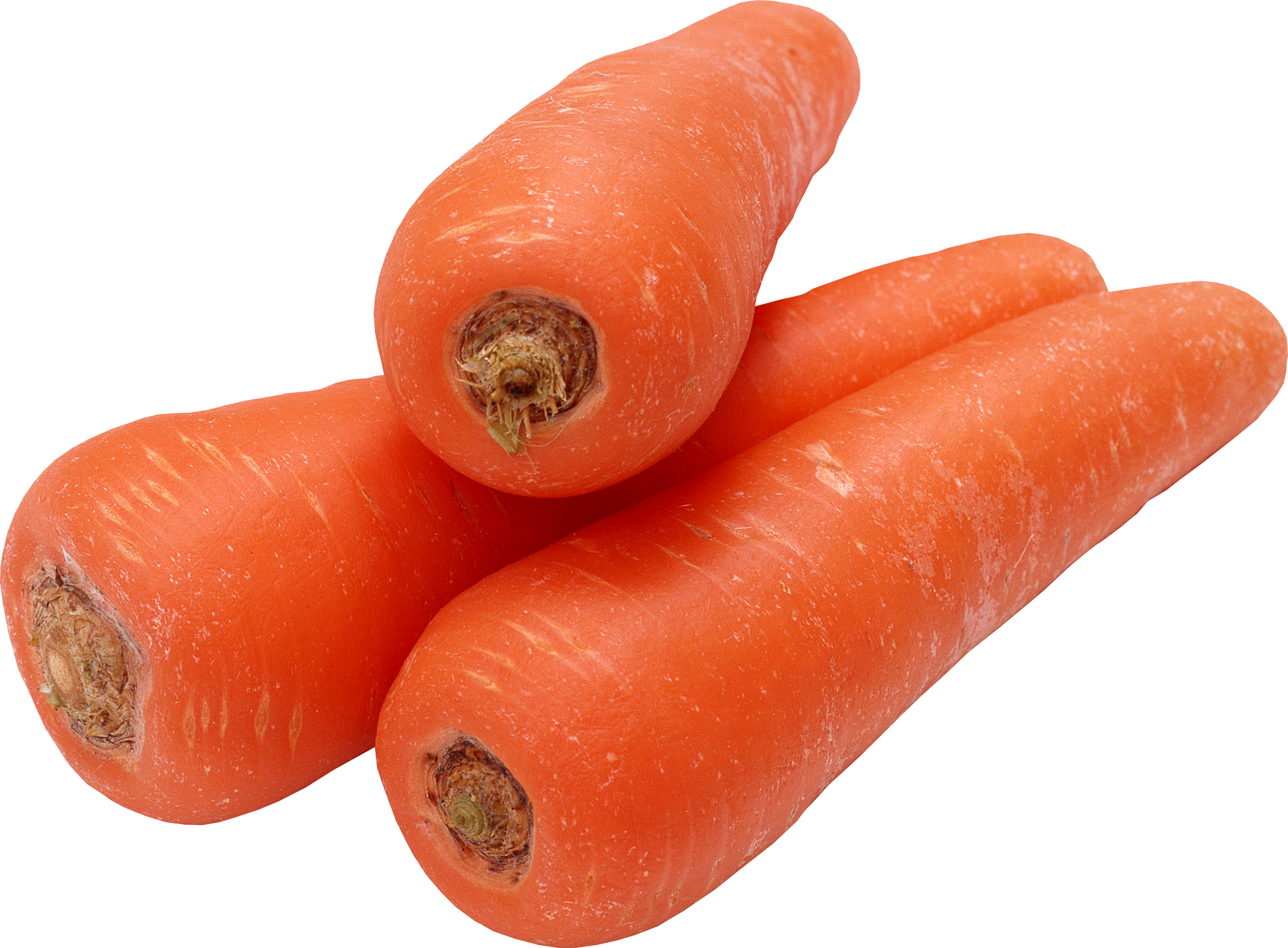 Fresh Whole Carrots Isolated PNG with transparent background