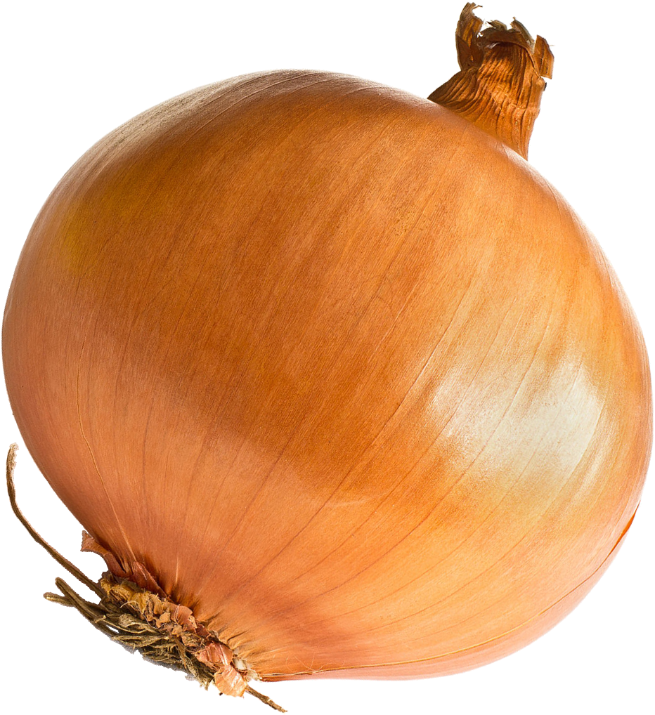 Fresh Whole Onion