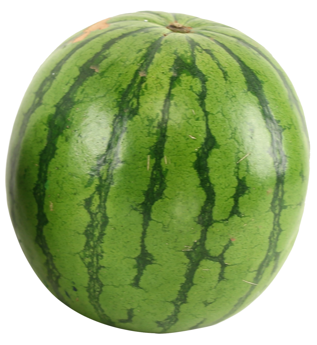 Fresh Whole Watermelon PNG image with a transparent background, free high-resolution download