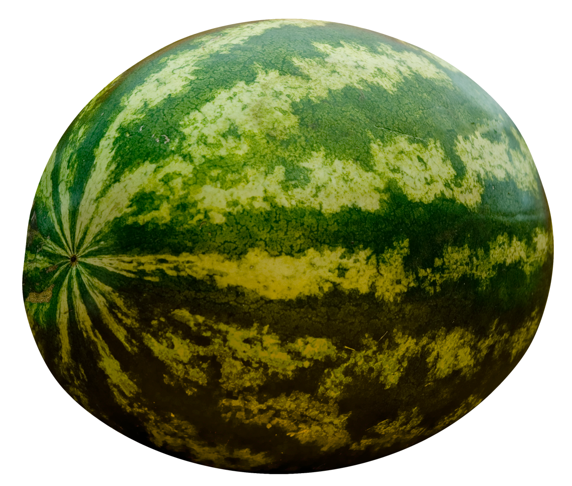 Fresh Whole Watermelon Image PNG image with a transparent background, free high-resolution download