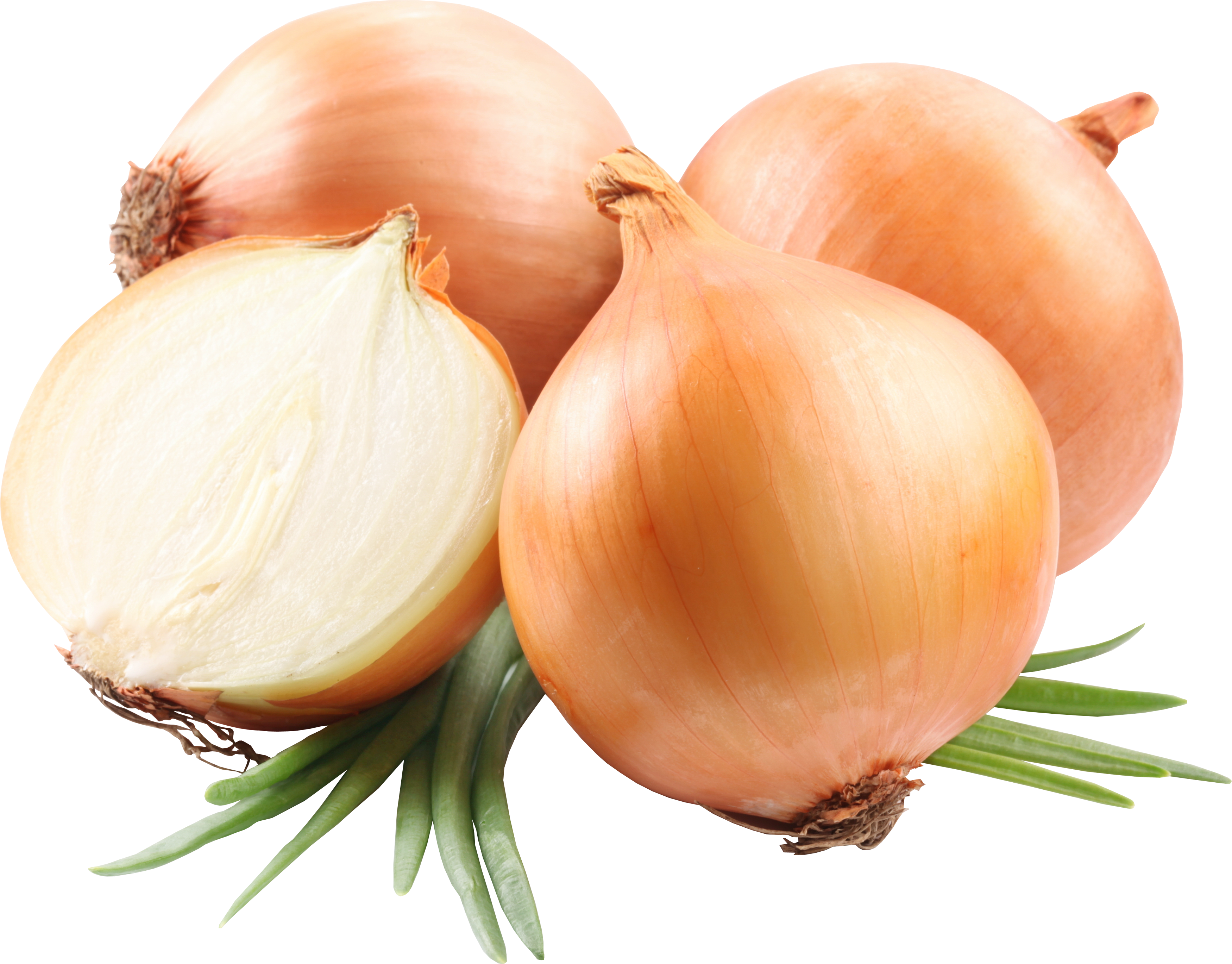 Fresh Wholeand Halved Onions