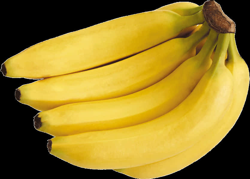 Fresh Yellow Bananas Isolated