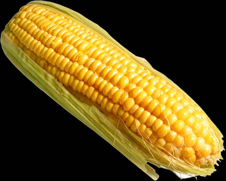 Fresh Yellow Corn Cob