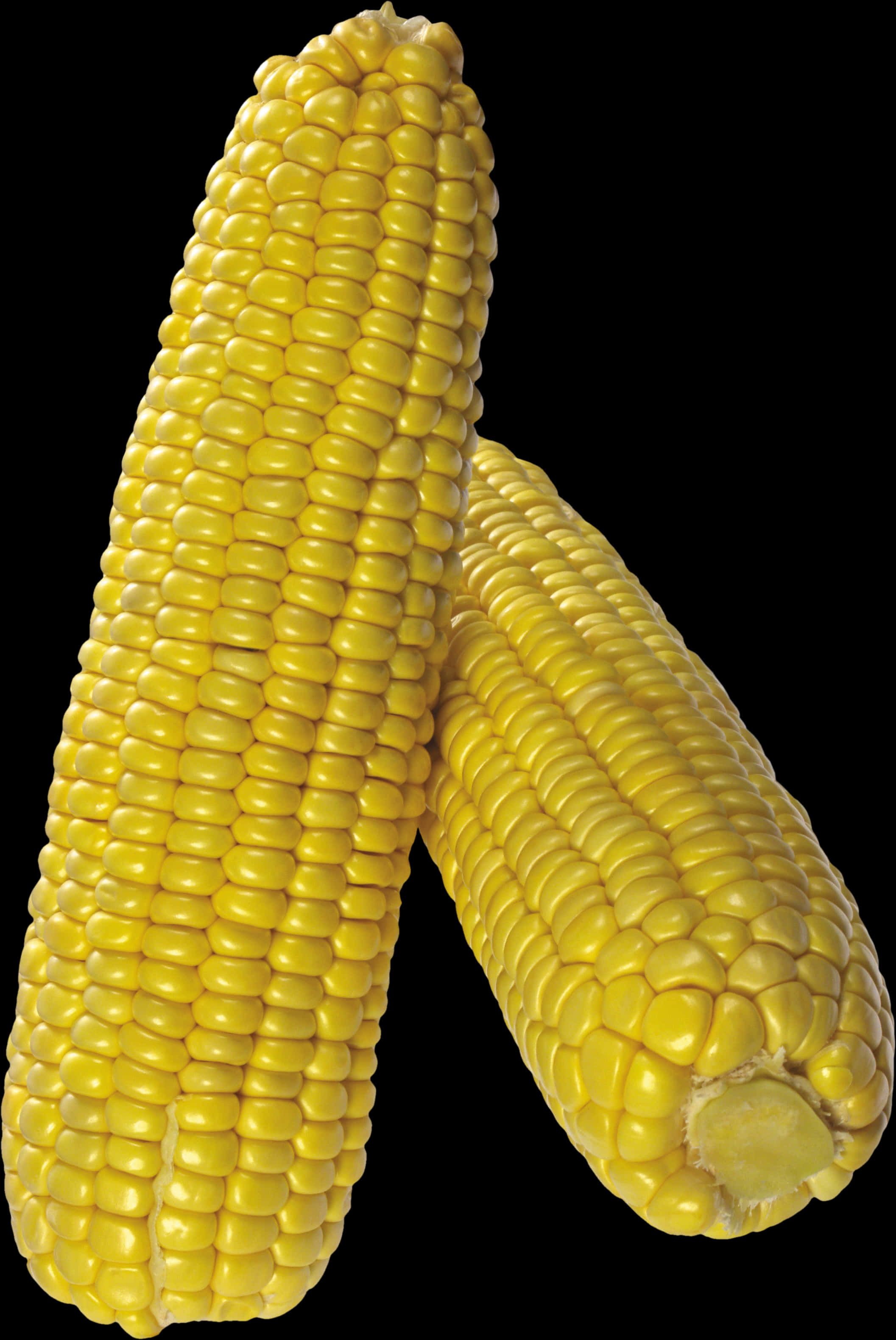 Fresh Yellow Corn Cobs