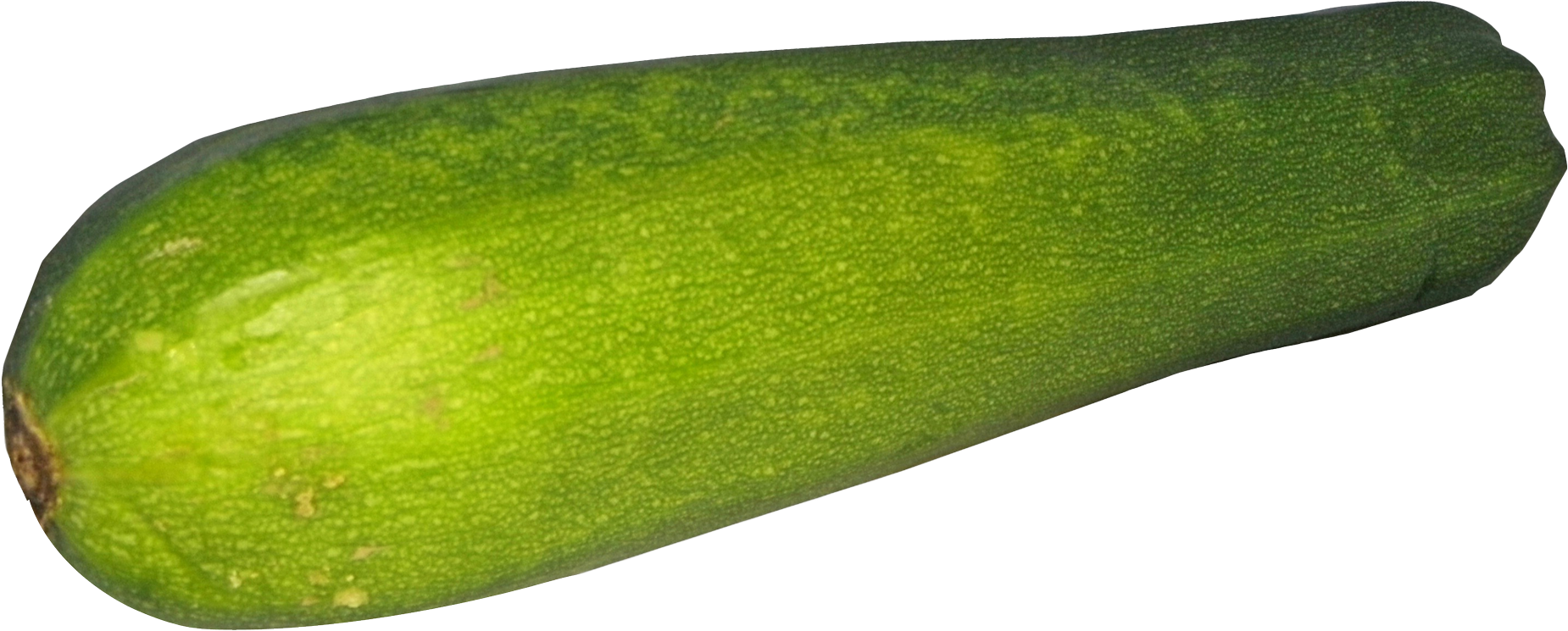 Fresh Zucchini Vegetable