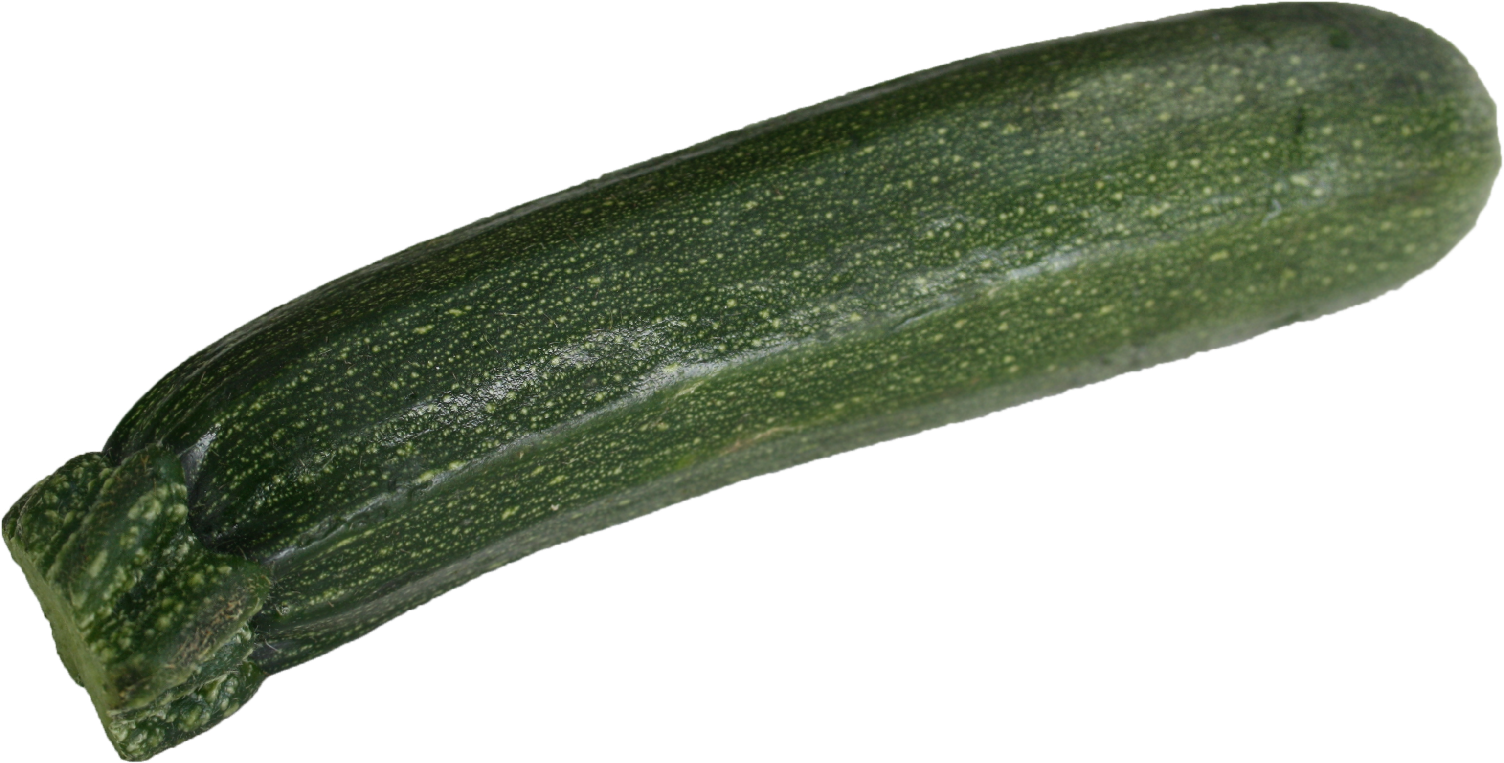 - Zucchini , Png Download, Transparent Png PNG with transparent background