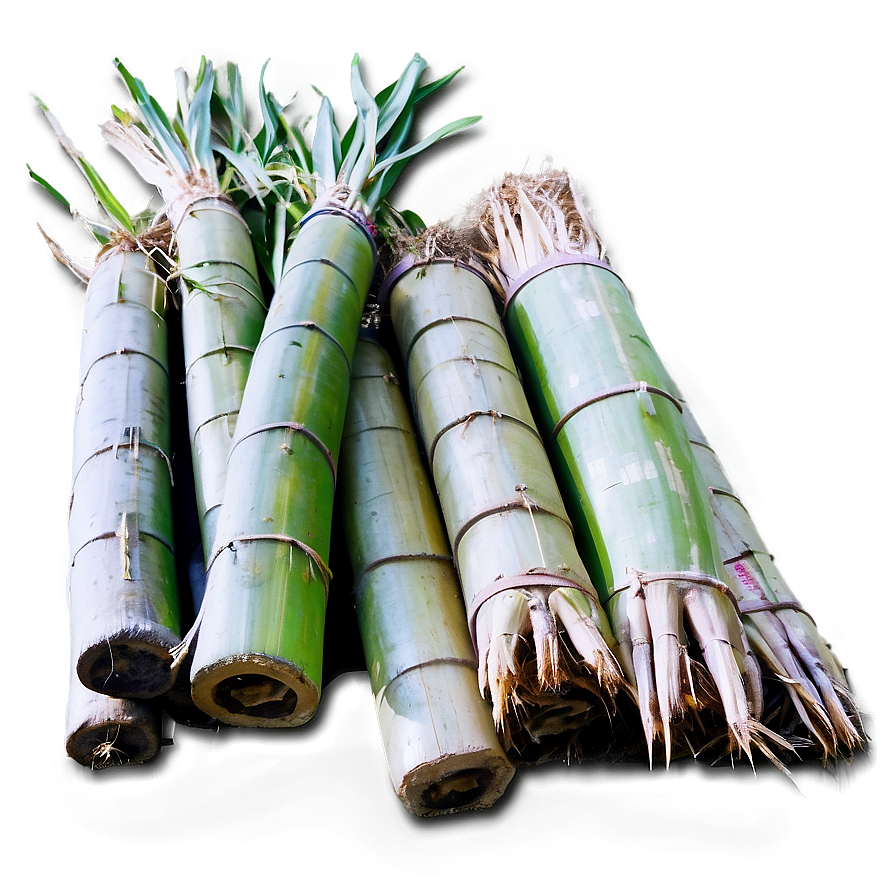 Freshly Cut Sugarcane Load Png 24