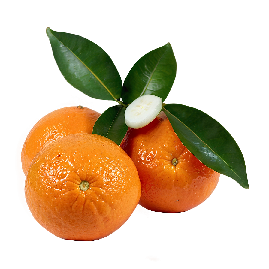 Freshly Picked Organic Oranges PNG ess45 PNG with transparent background