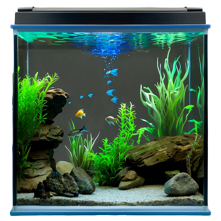 Freshwater Aquarium Png 41