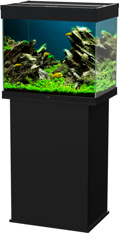 Aquarium Lighting, HD Png Download PNG with transparent background