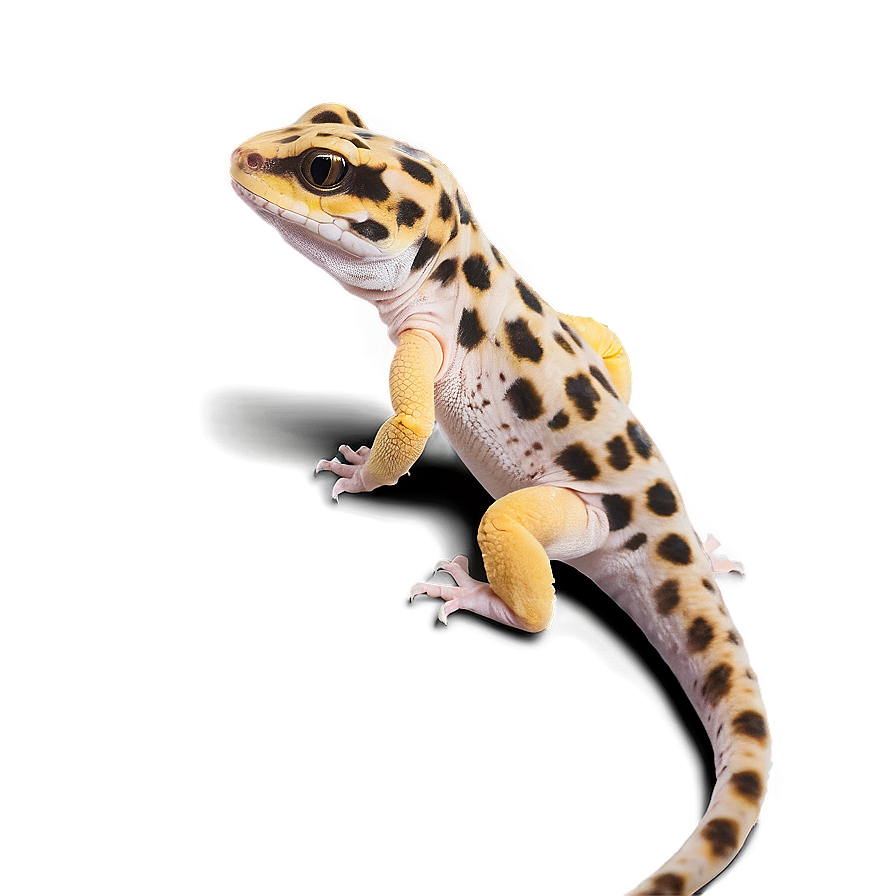 Friendly Leopard Gecko Png Njv