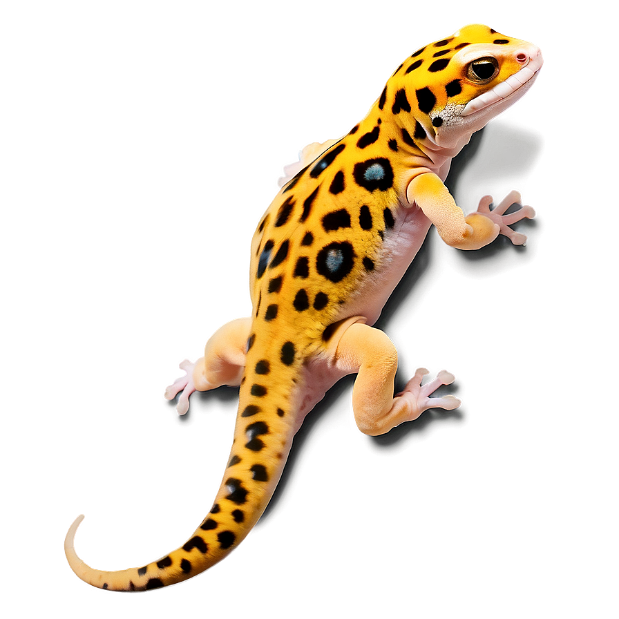 Friendly Leopard Gecko Png Yhu76