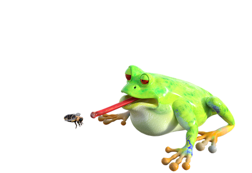 Frog Catching Bee PNG with transparent background