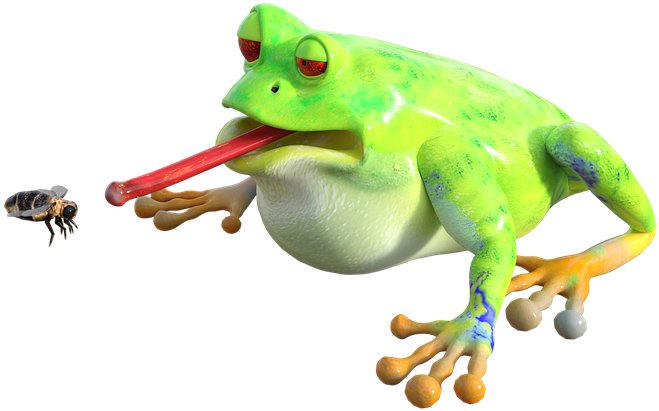 Frog Tongue Png - True Frog, Transparent Png PNG with transparent background