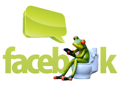 Frogon Toilet Facebook Parody PNG with transparent background