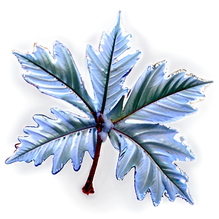 Frosted Leaves Falling Png Xxl56