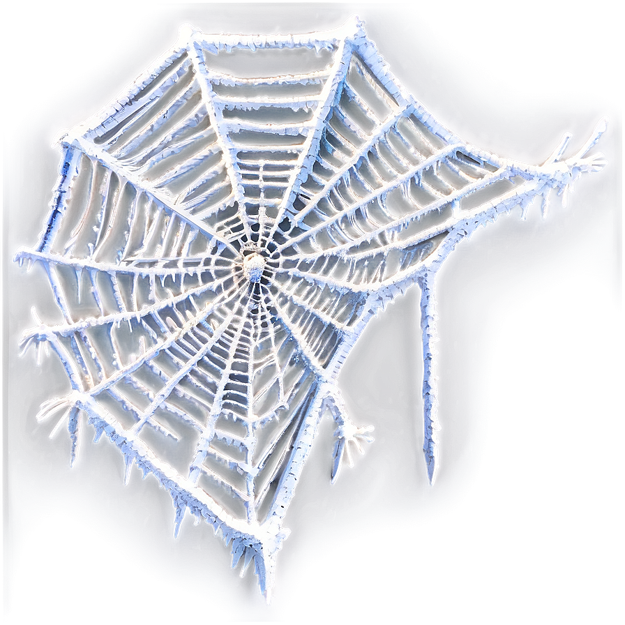 Frosted Spider Web