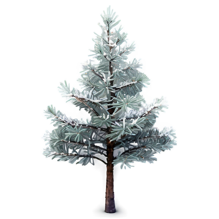 Frosty Pine Trees Png Pyp