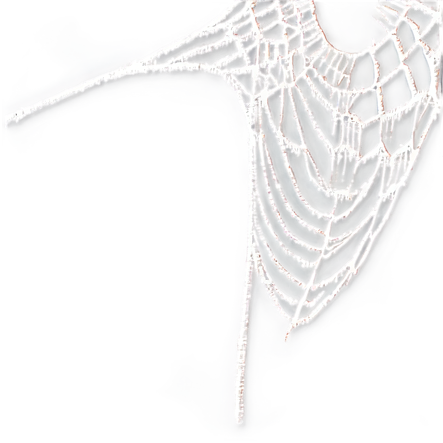 Frosty Spider Web Art