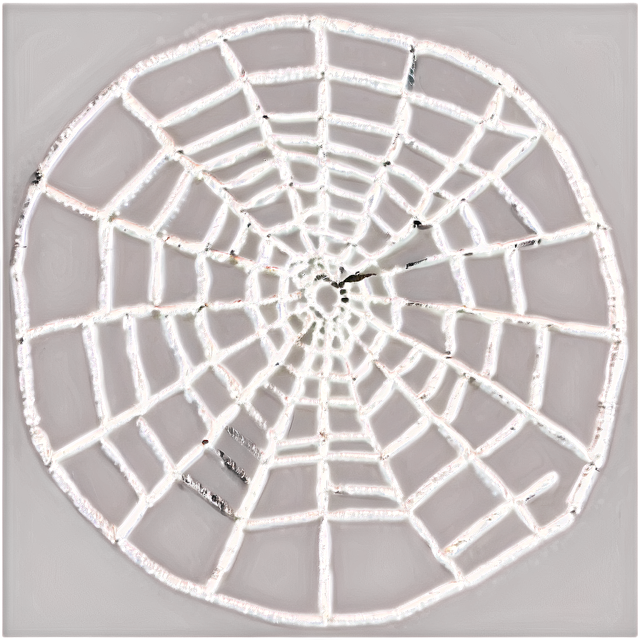 Frosty Spider Web Texture