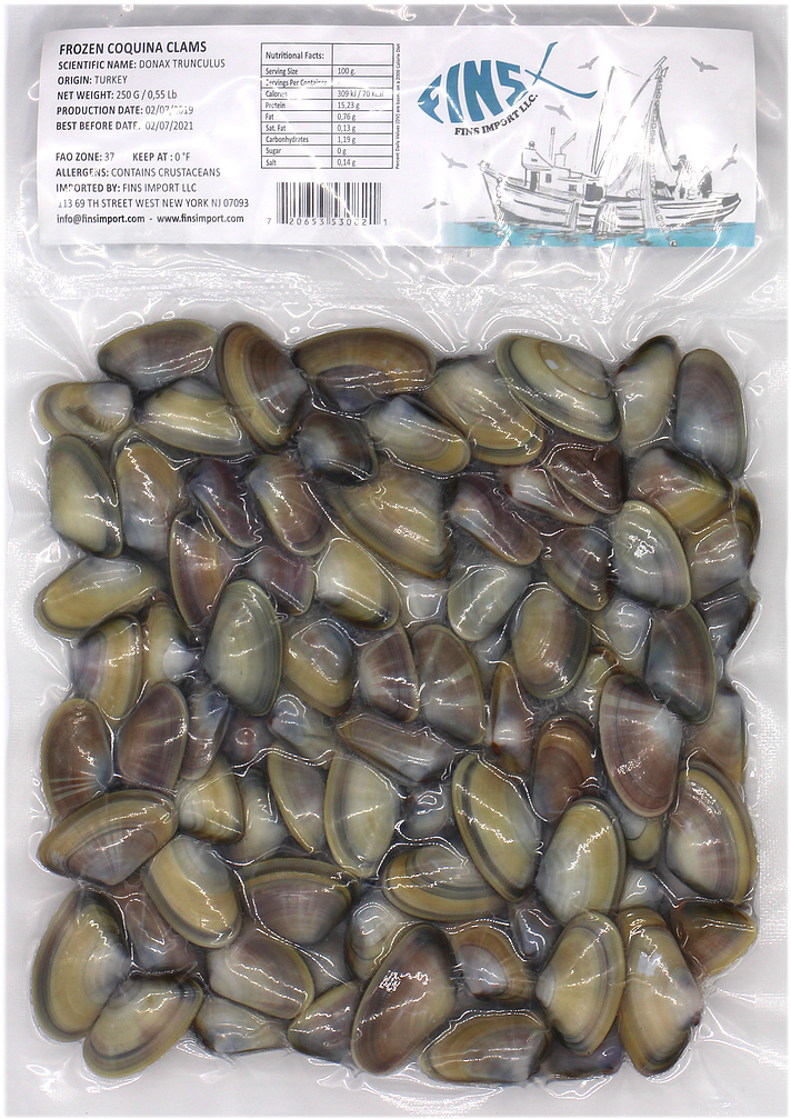 Clam, HD Png Download PNG with transparent background