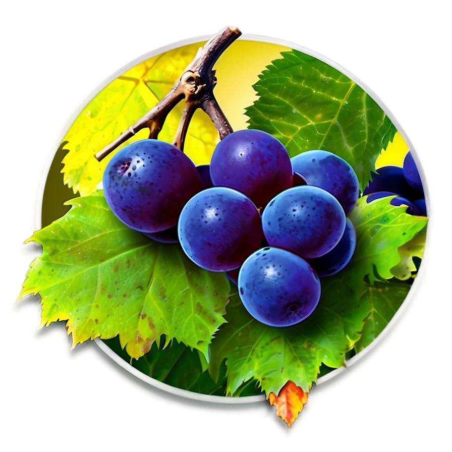 Frozen Grape Png Aeg22