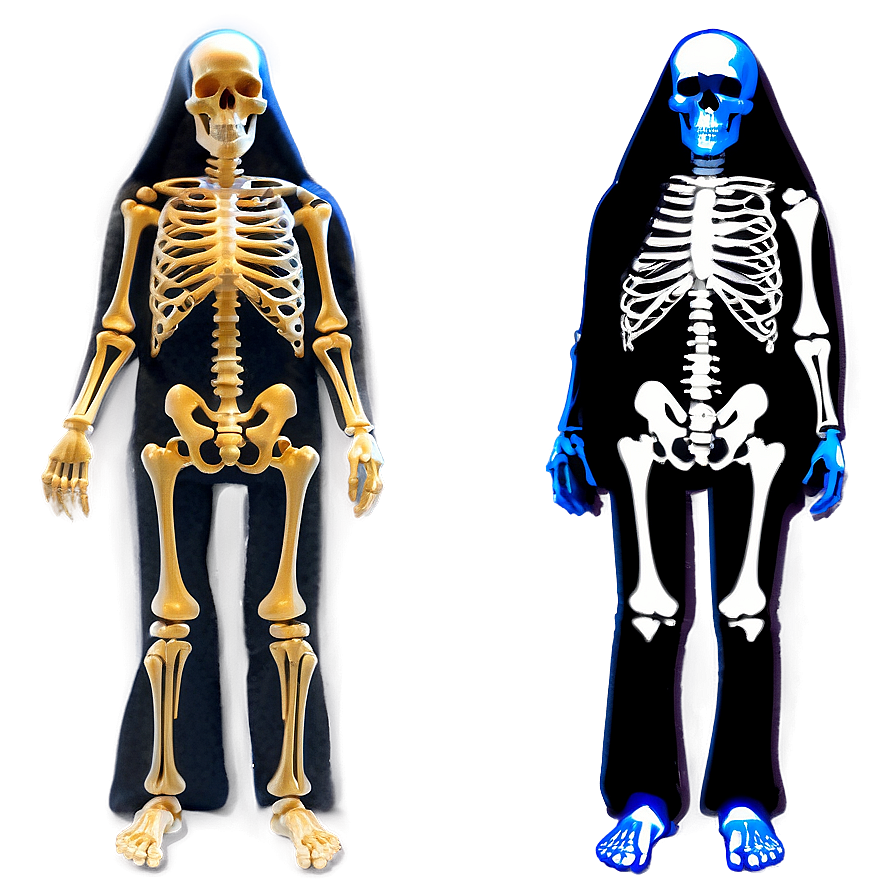 Full Body Skeleton Structure Png Fyh59