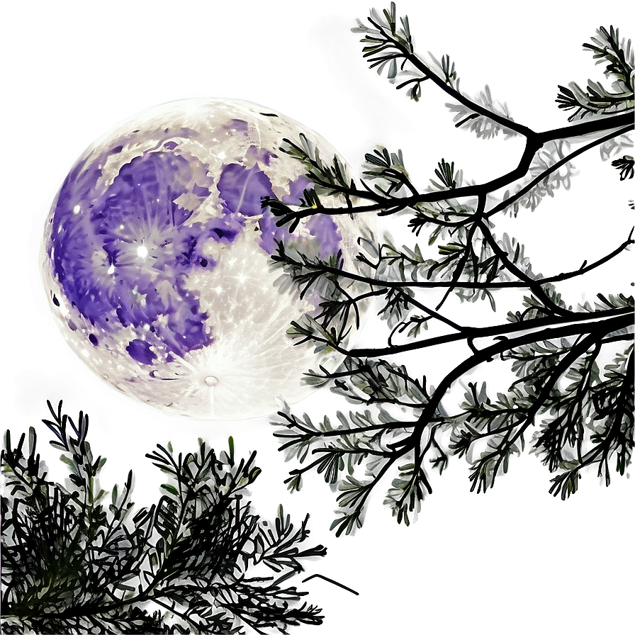 Full Moon Through Branches Png 05242024