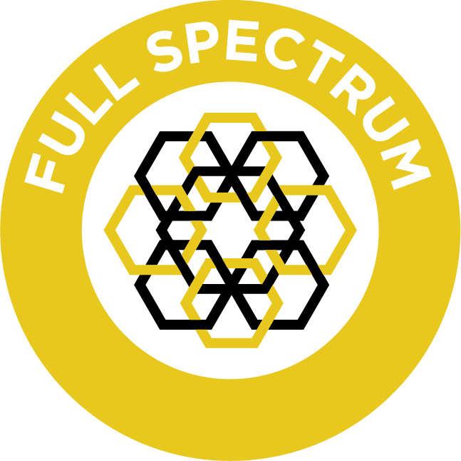 Full Spectrum Logo Design