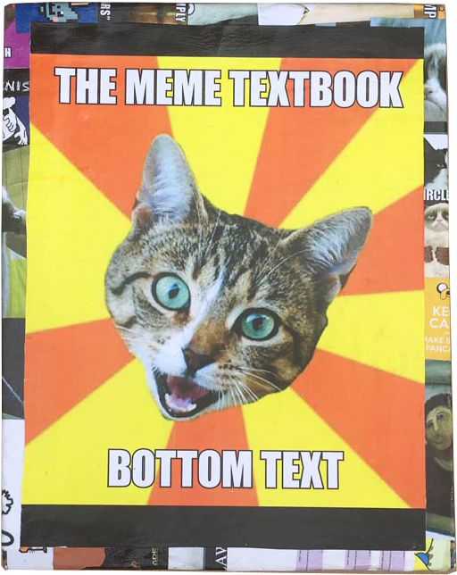 Funny School Cat Memes, HD Png Download PNG with transparent background